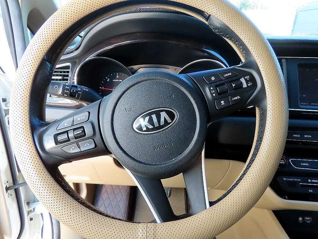 KIA Carnival - Vista 8