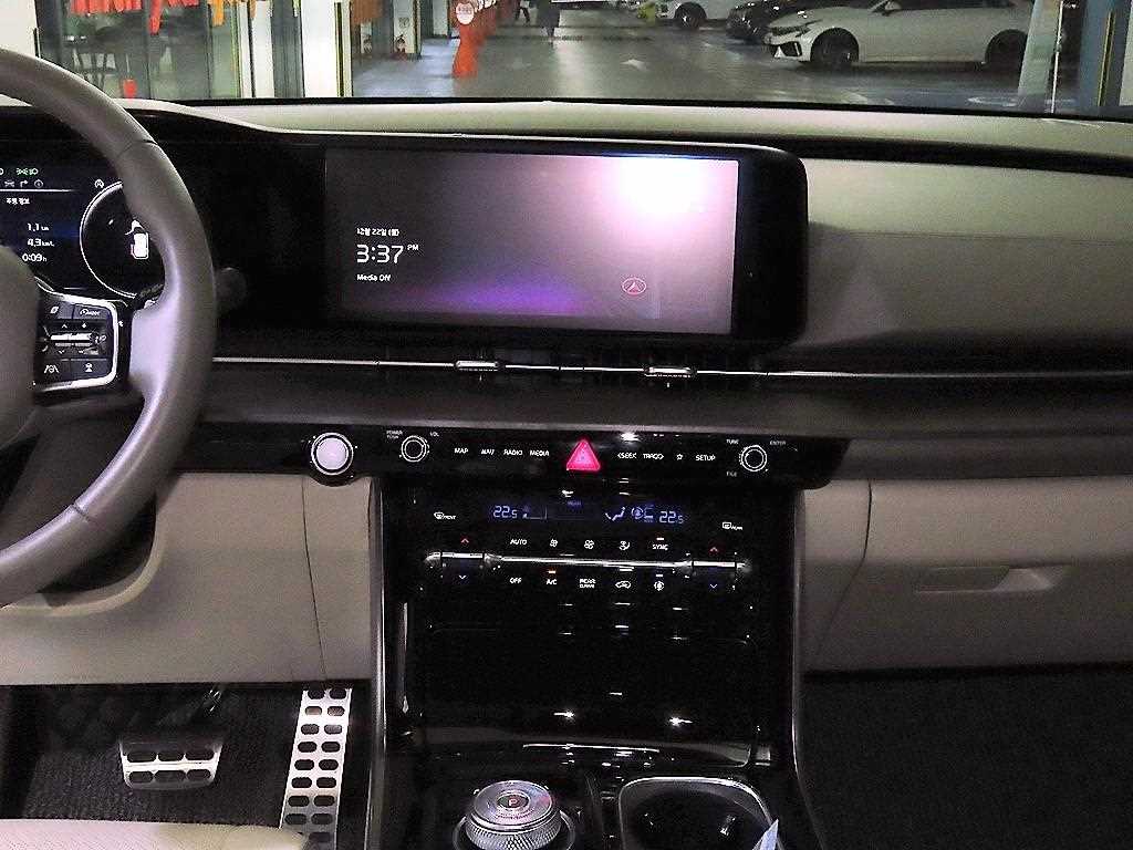 KIA Carnival - Vista 11