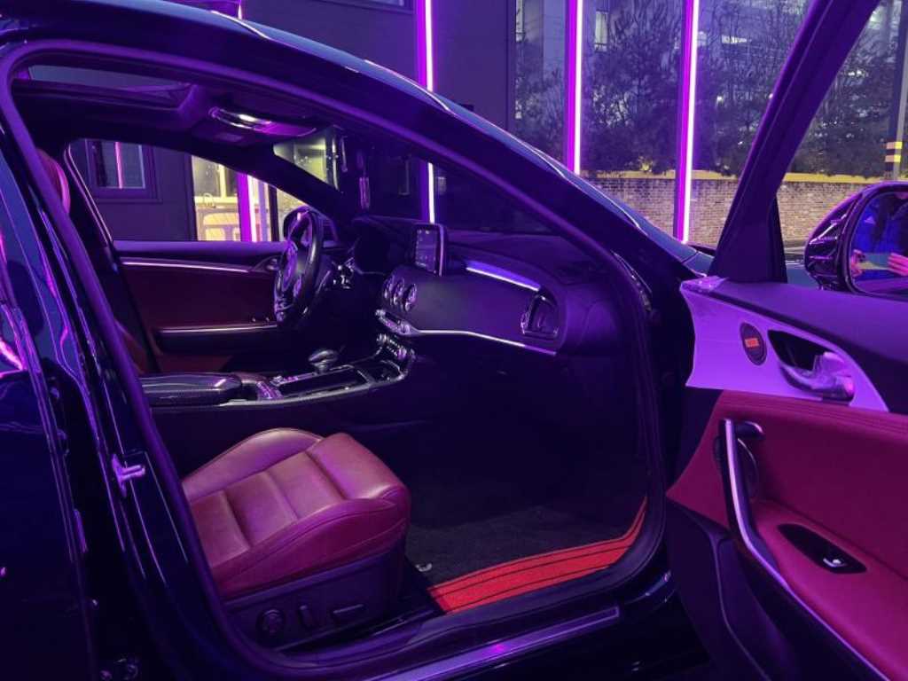 KIA Stinger - Vista 9