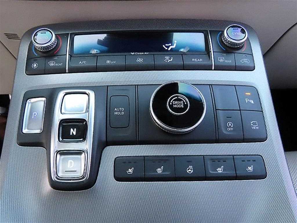 HYUNDAI Palisade - Vista 10