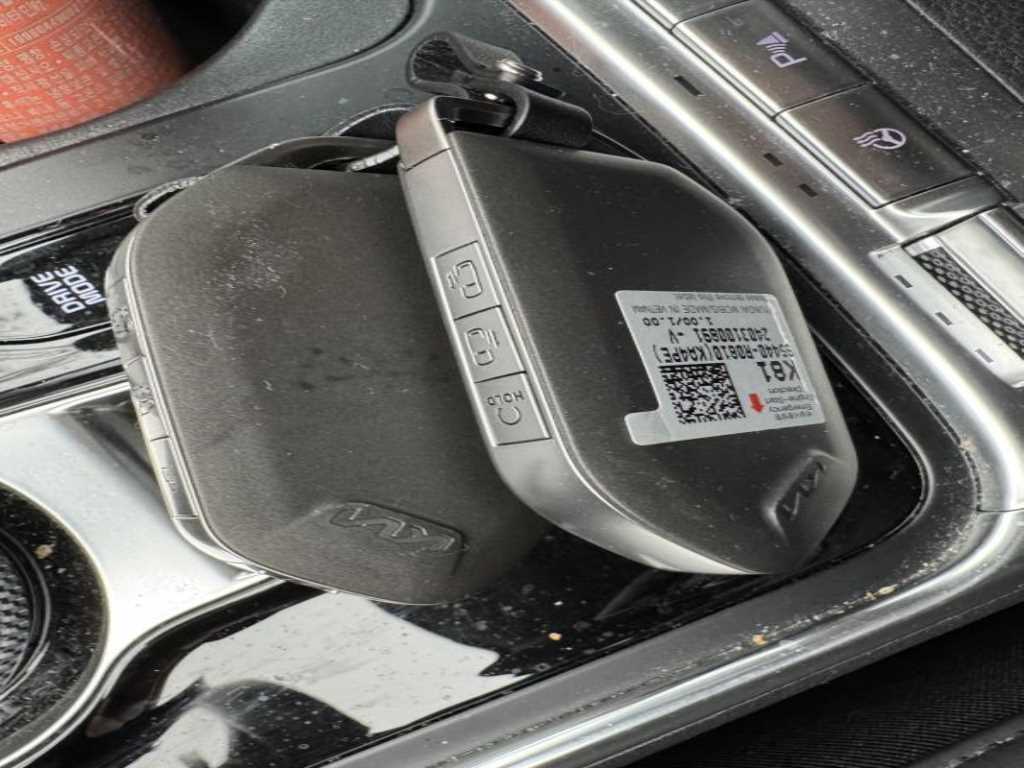 KIA Carnival - Vista 7