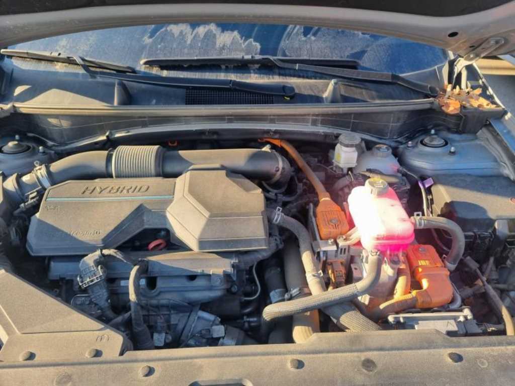 KIA Sportage - Vista 8