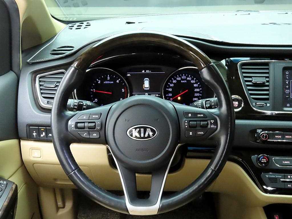 KIA Carnival - Vista 8