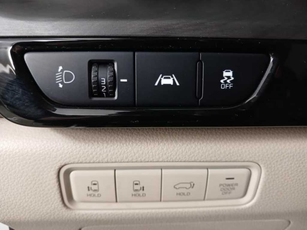 KIA Carnival - Vista 9