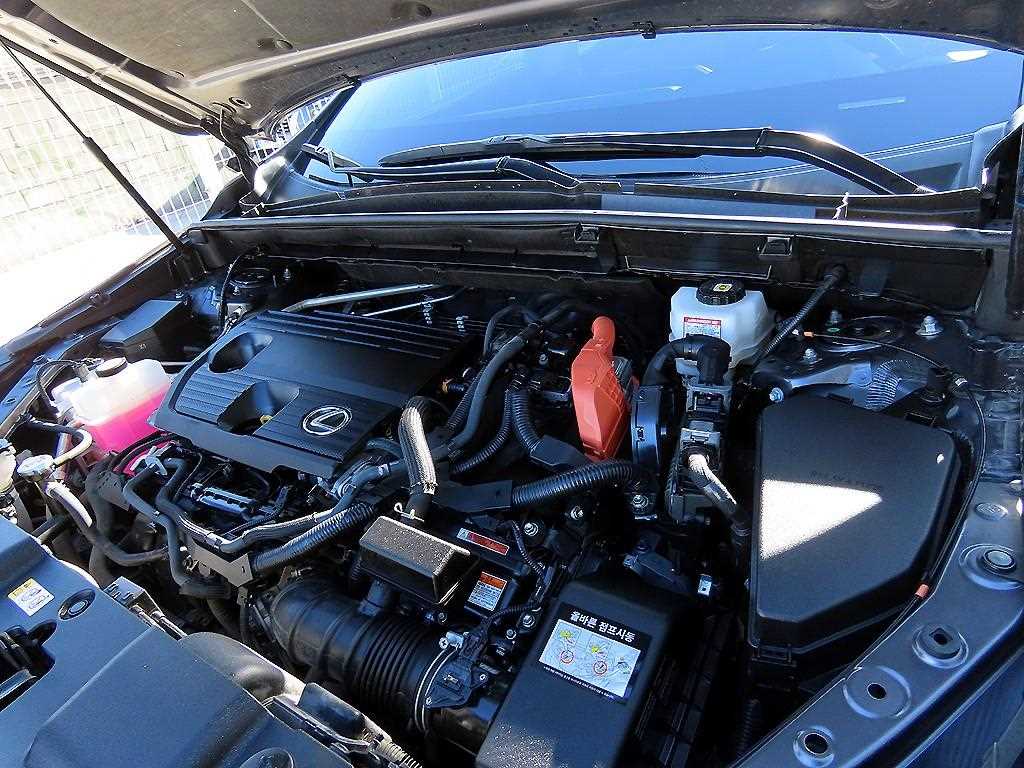 Lexus NX 2024 Gris - Importación desde Corea - HF Imports Iquique - Foto 19