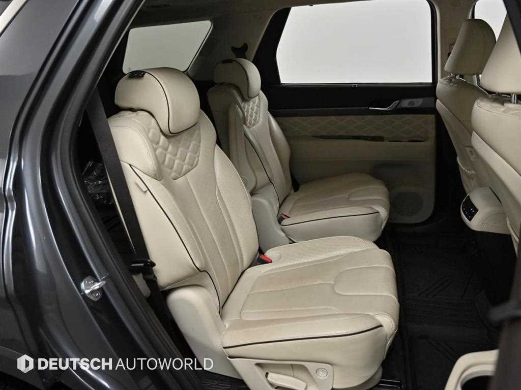 HYUNDAI Palisade - Vista 12