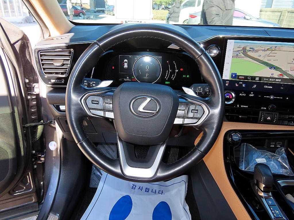 Lexus NX - Vista 8