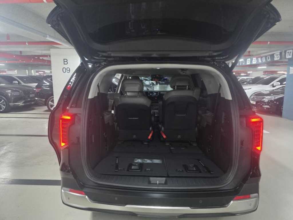 KIA Carnival - Vista 12