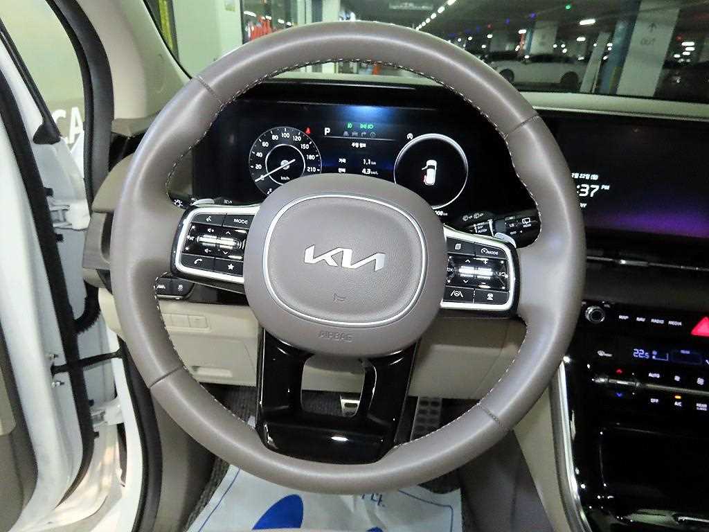 KIA Carnival - Vista 8
