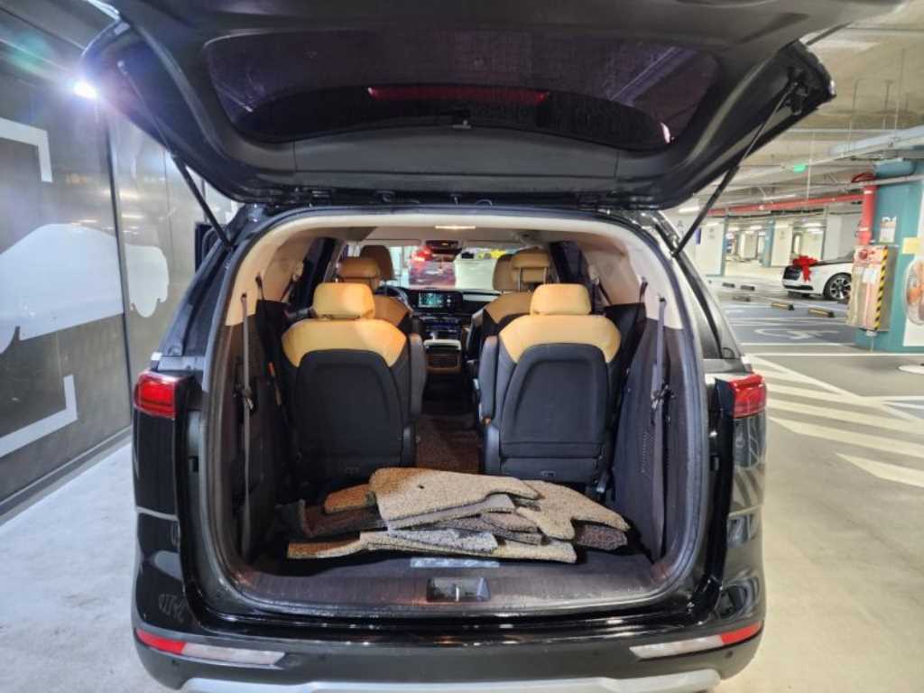 KIA Carnival - Vista 6