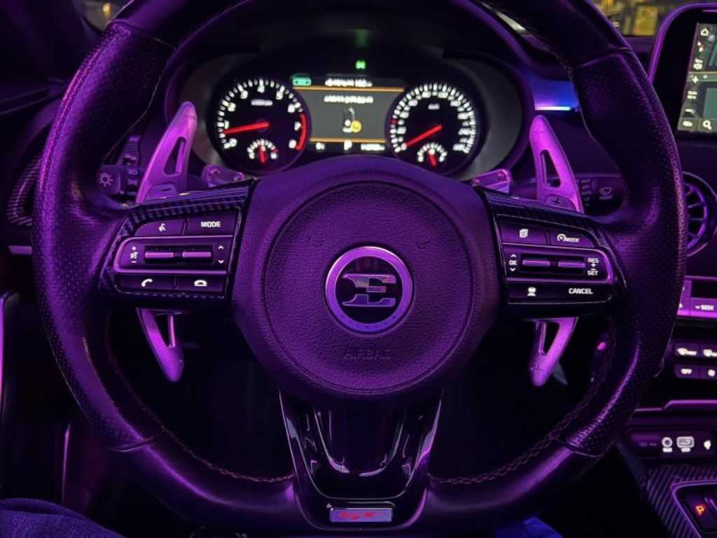 KIA Stinger - Vista 11