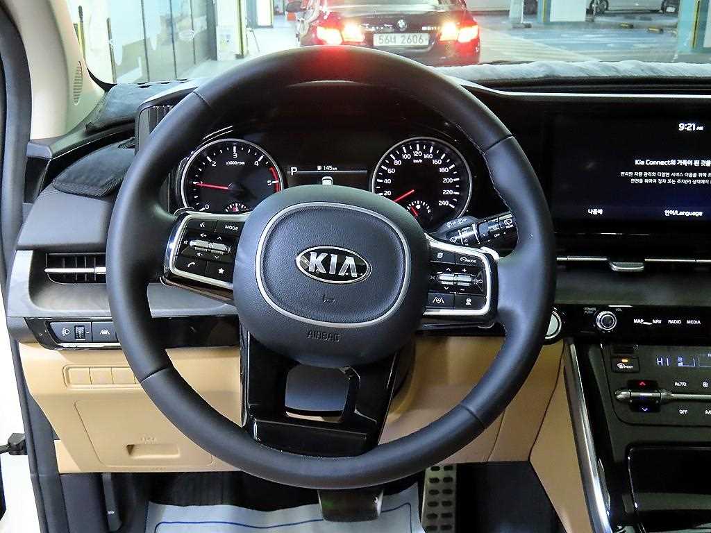 KIA Carnival - Vista 9