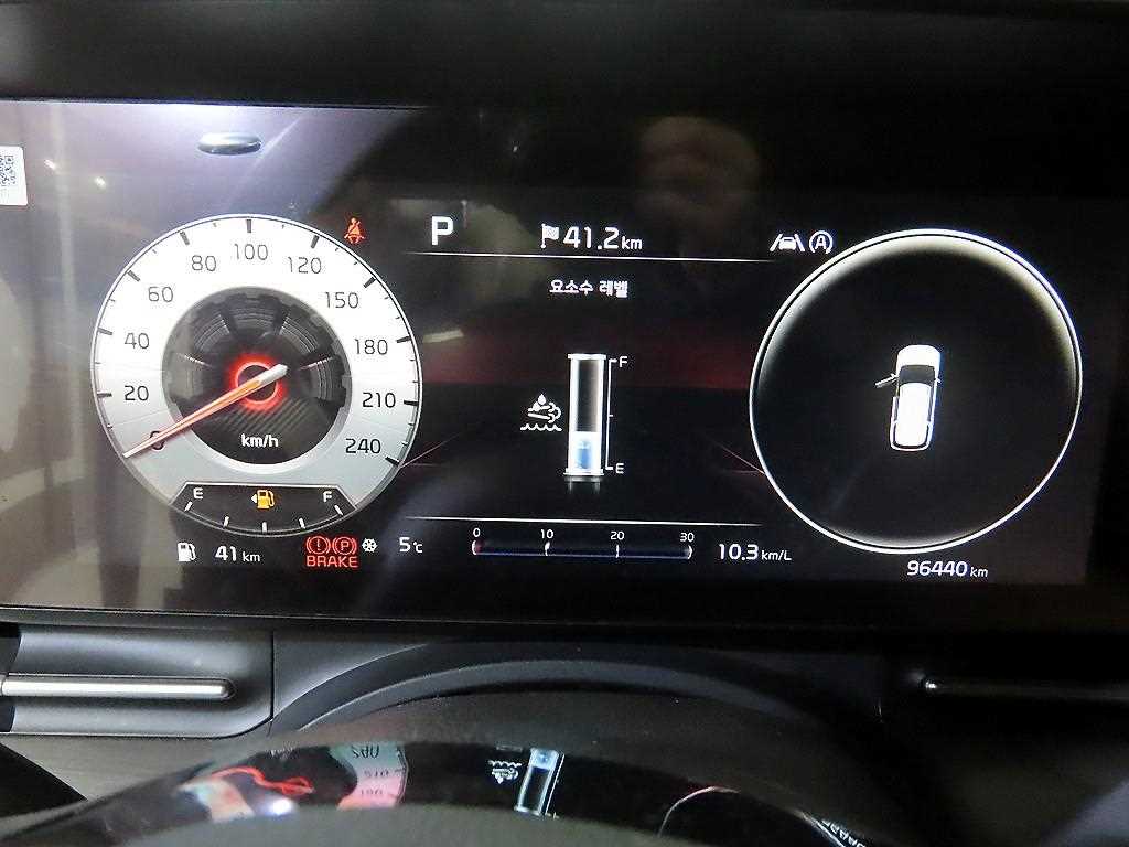 KIA Carnival - Vista 9