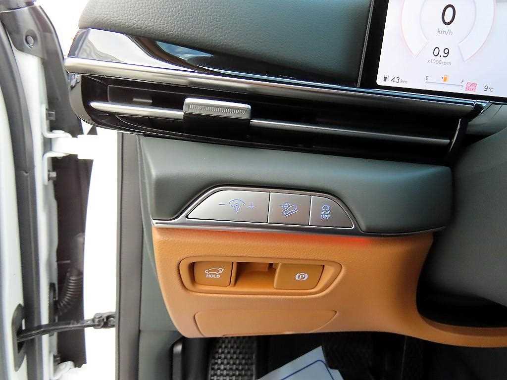 Genesis GV80 - Vista 12