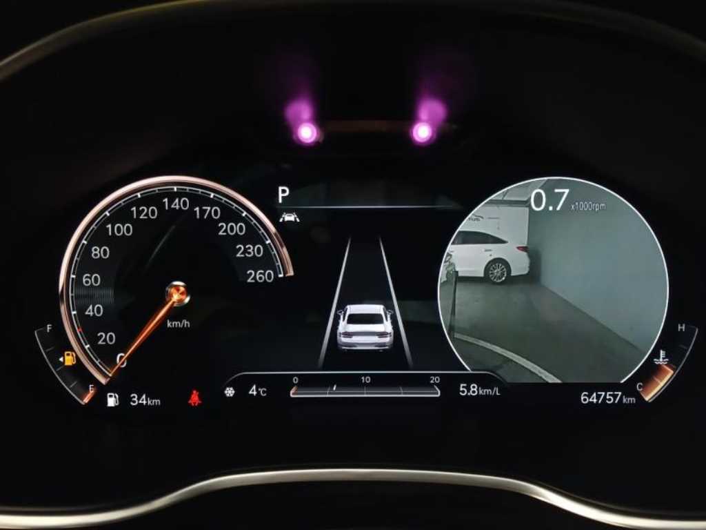 Genesis G80 - Vista 10