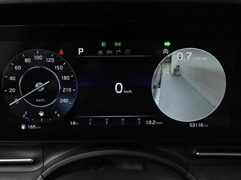 KIA Carnival - Vista 8