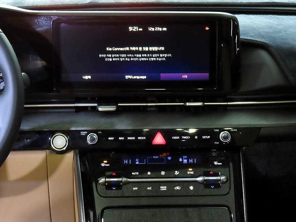 KIA Carnival - Vista 12