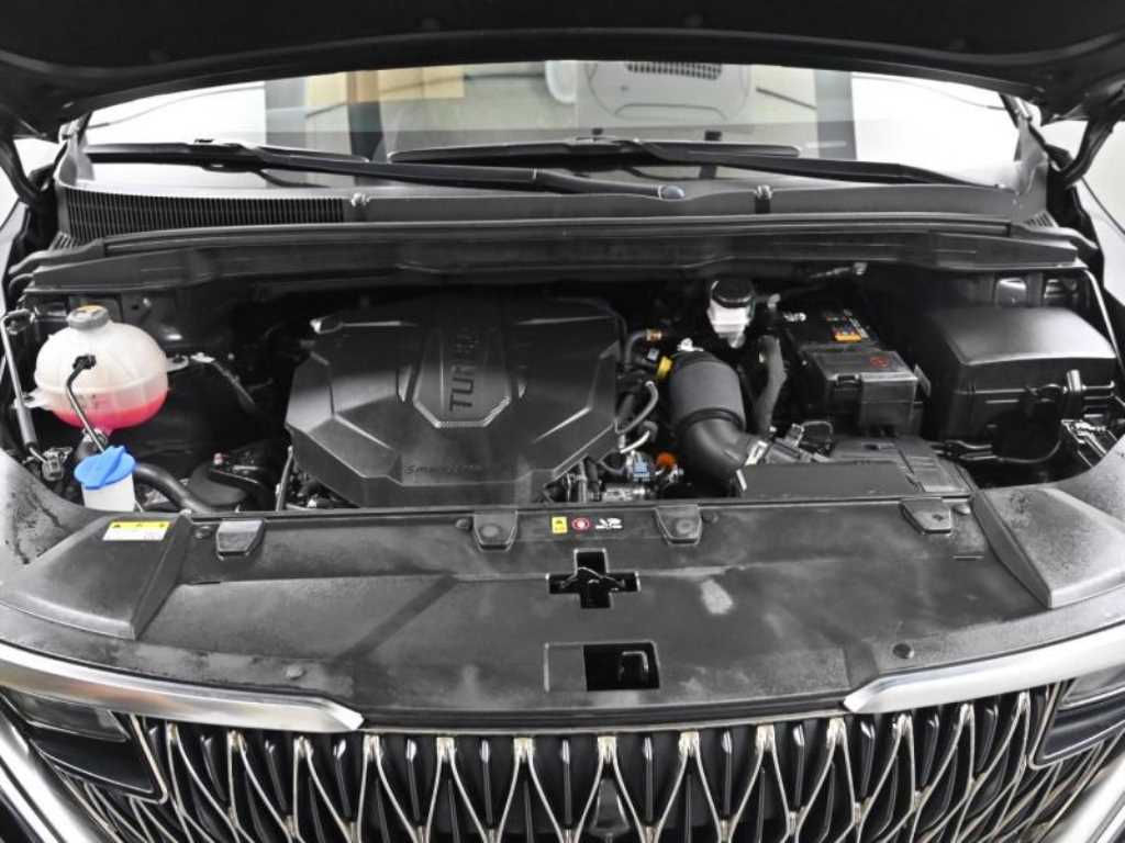 KIA Carnival - Vista 6