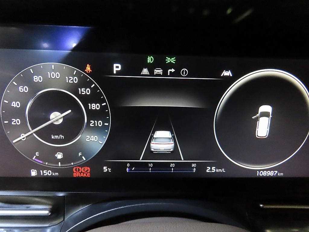 KIA Carnival - Vista 9