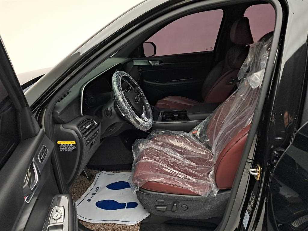 HYUNDAI Palisade - Vista 11