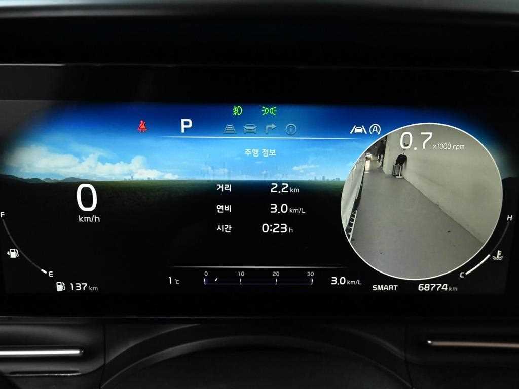 KIA Carnival - Vista 8