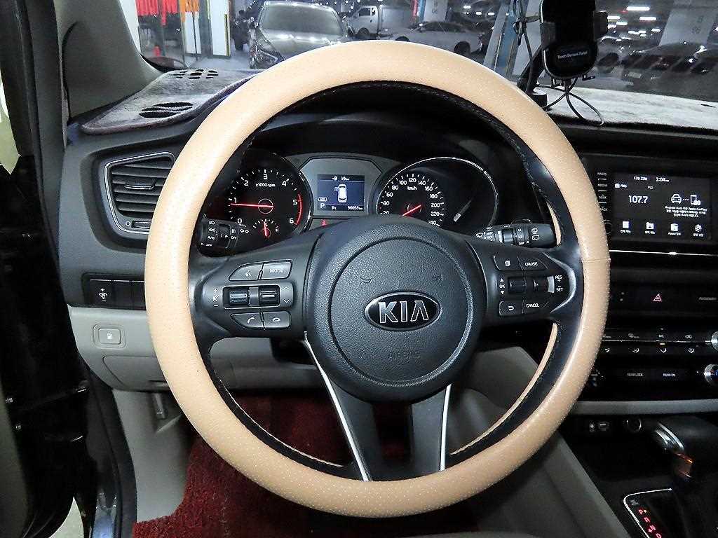 KIA Carnival - Vista 9