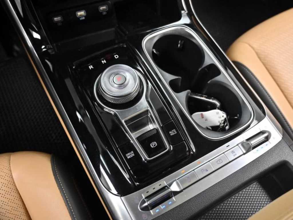 KIA Carnival - Vista 9