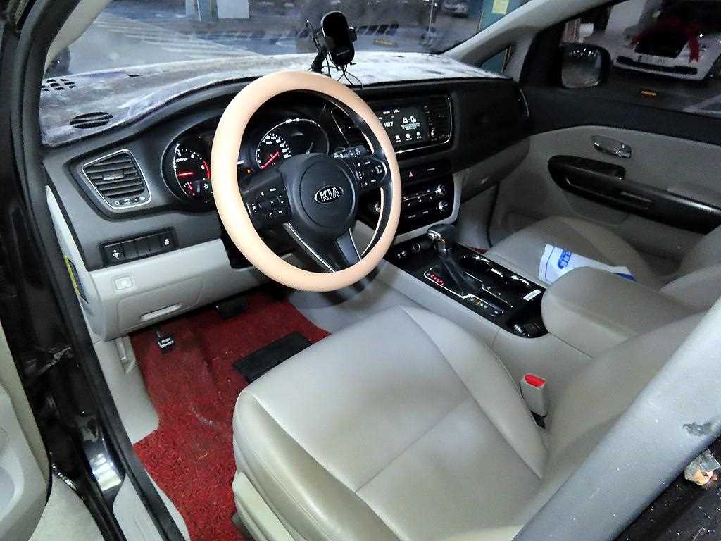 KIA Carnival - Vista 11