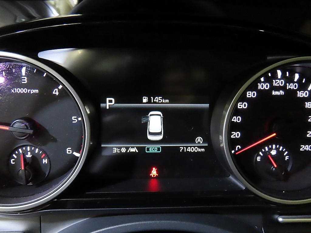 KIA Carnival - Vista 10