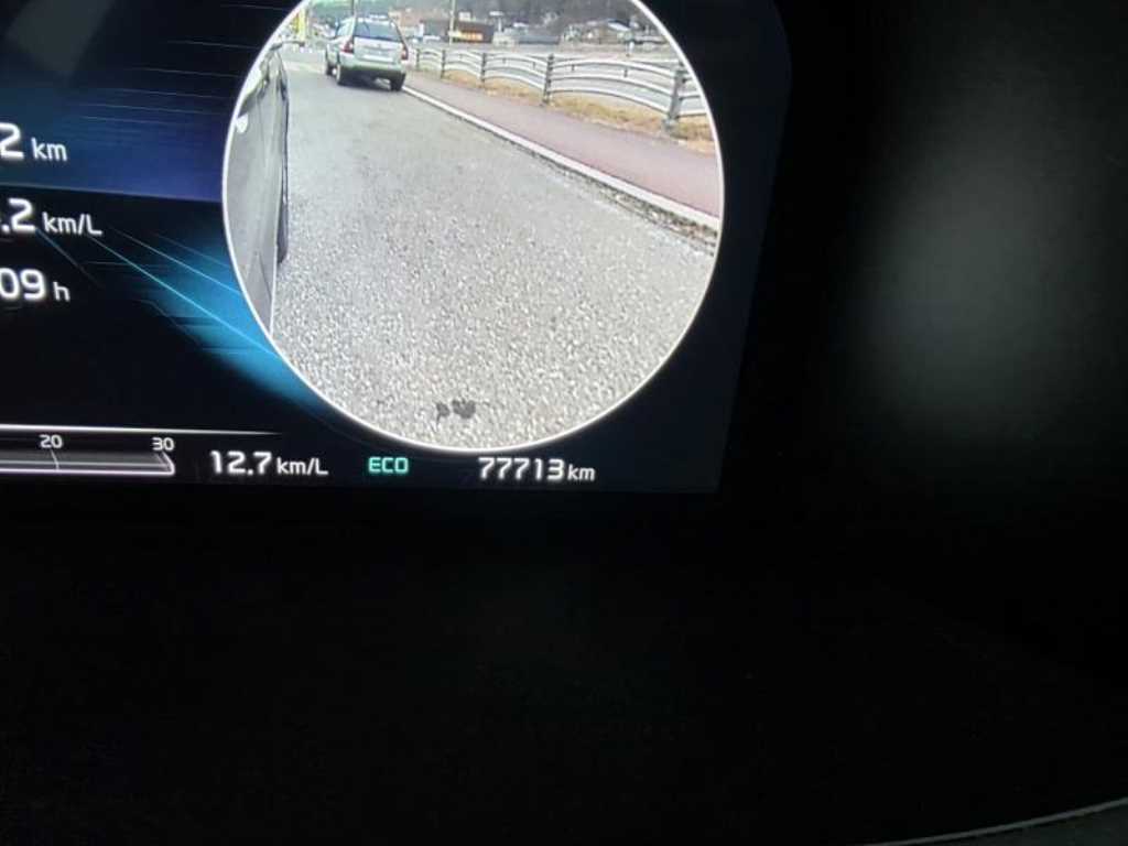 KIA Sorento - Vista 10