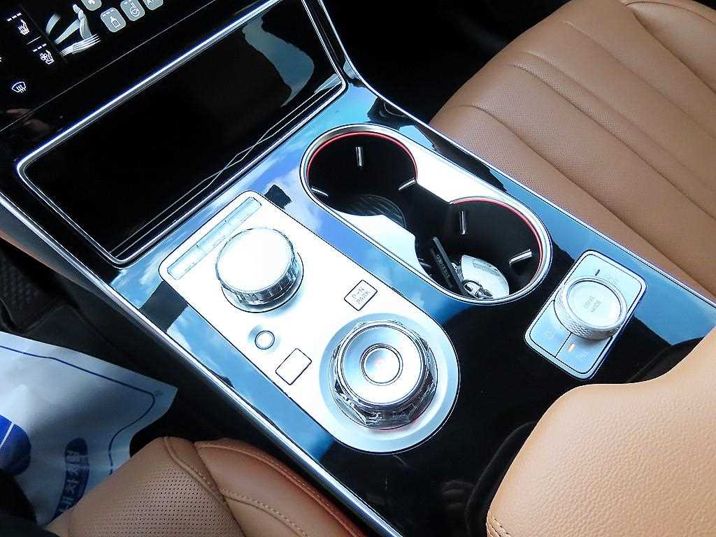 Genesis GV80 - Vista 10