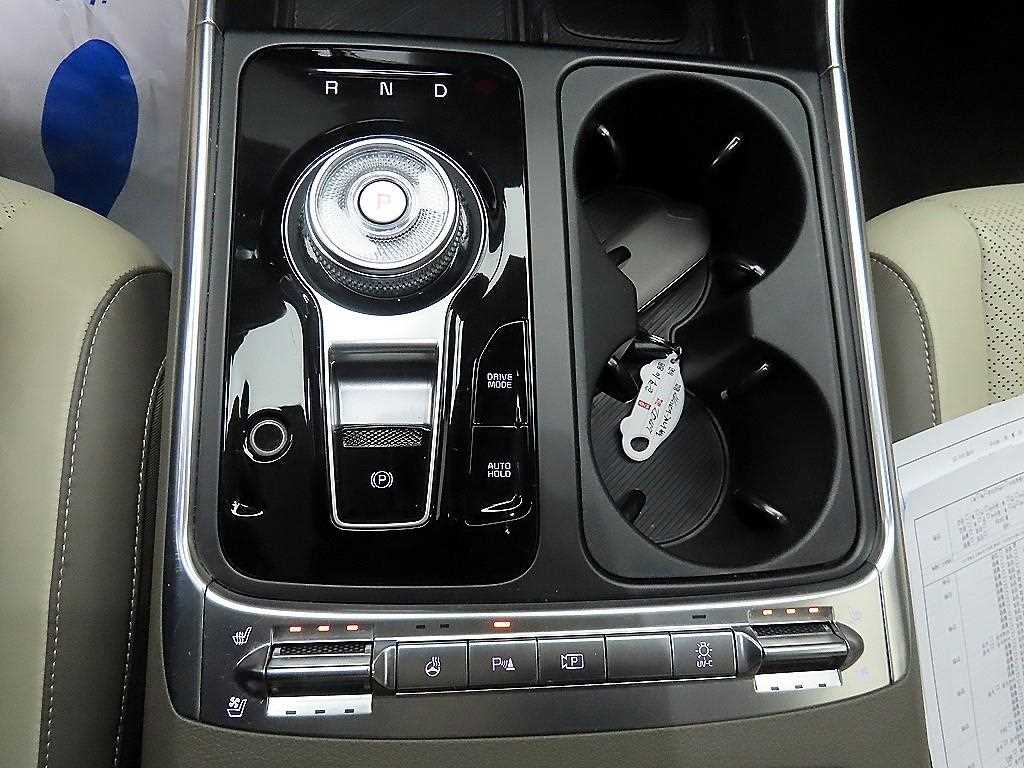 KIA Carnival - Vista 10