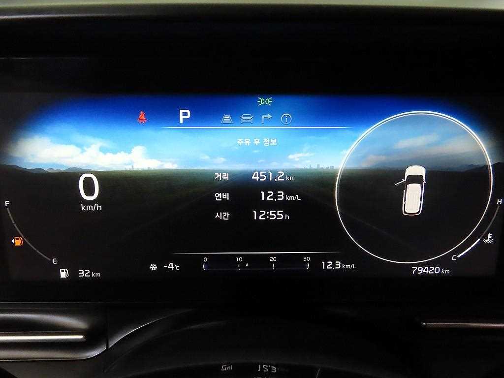 KIA Carnival - Vista 9