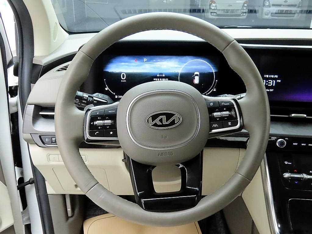 KIA Carnival - Vista 8