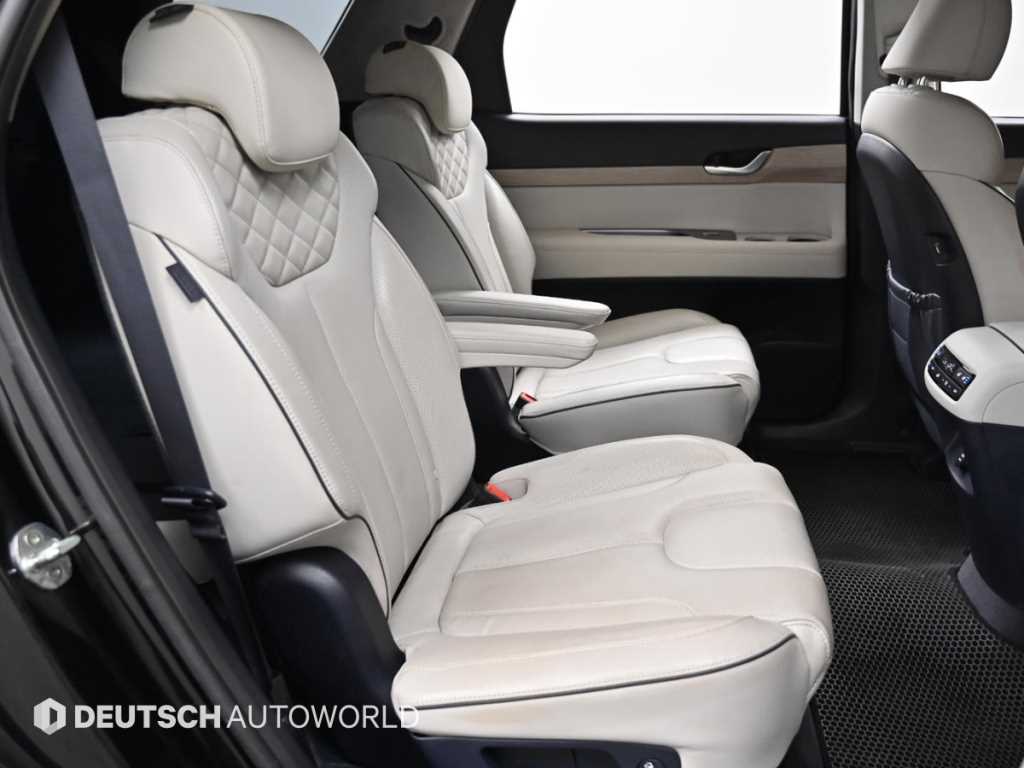 HYUNDAI Palisade - Vista 12