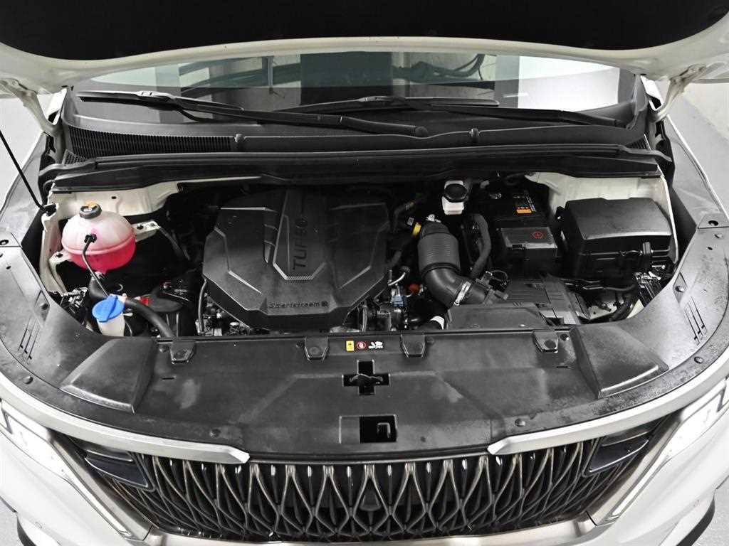 KIA Carnival - Vista 6