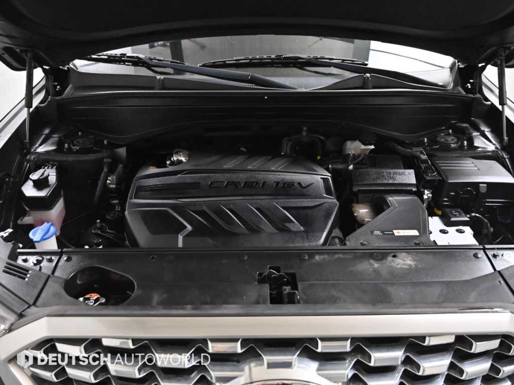 HYUNDAI Palisade - Vista 6