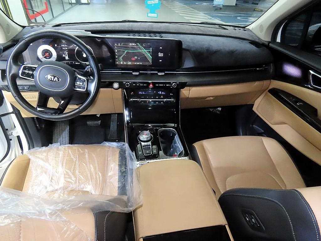 KIA Carnival - Vista 10