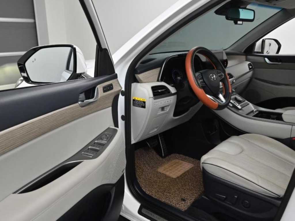 HYUNDAI Palisade - Vista 11