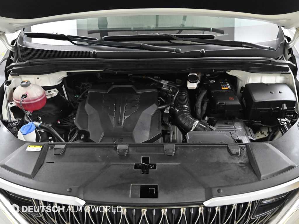 KIA Carnival - Vista 6