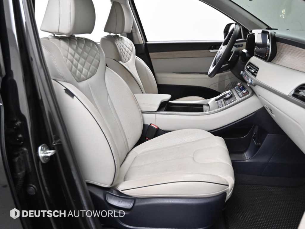 HYUNDAI Palisade - Vista 10