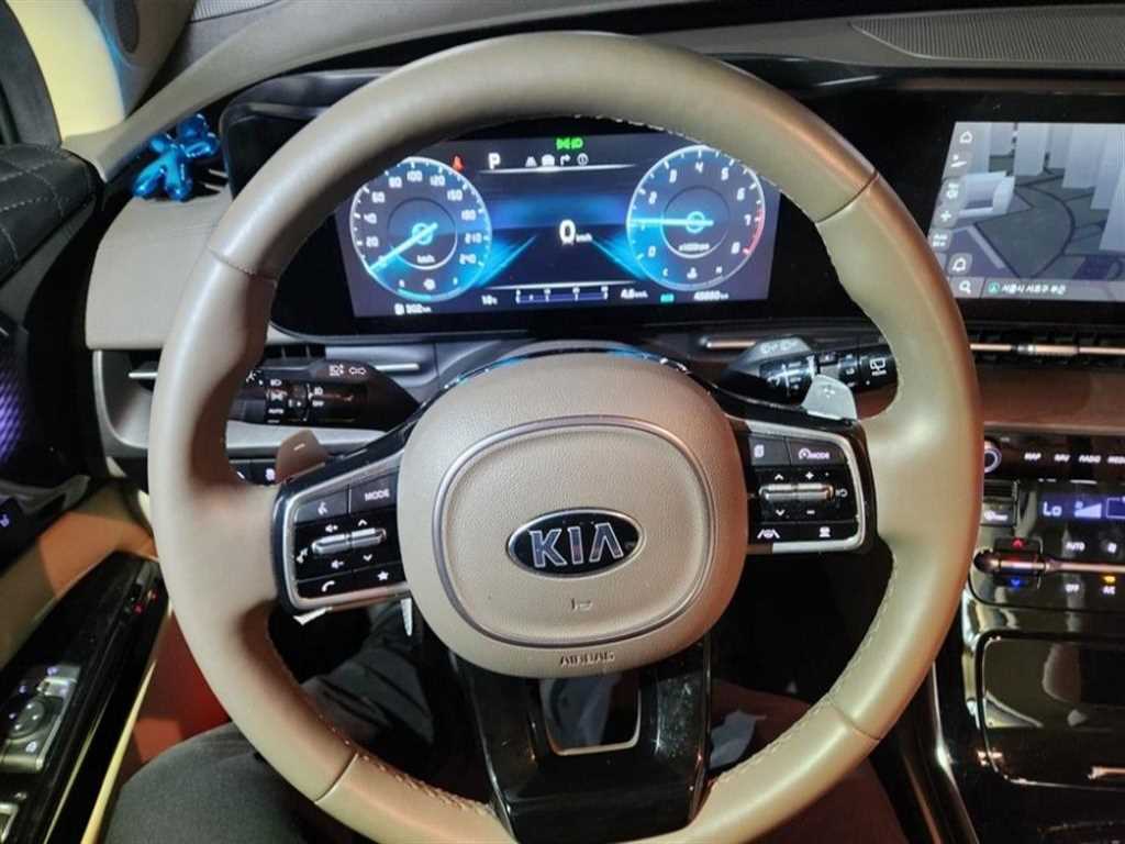 KIA Carnival - Vista 8