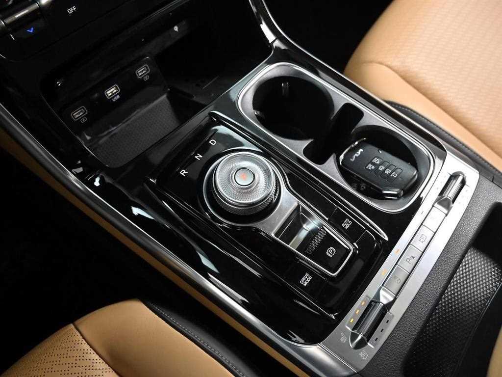 KIA Carnival - Vista 9