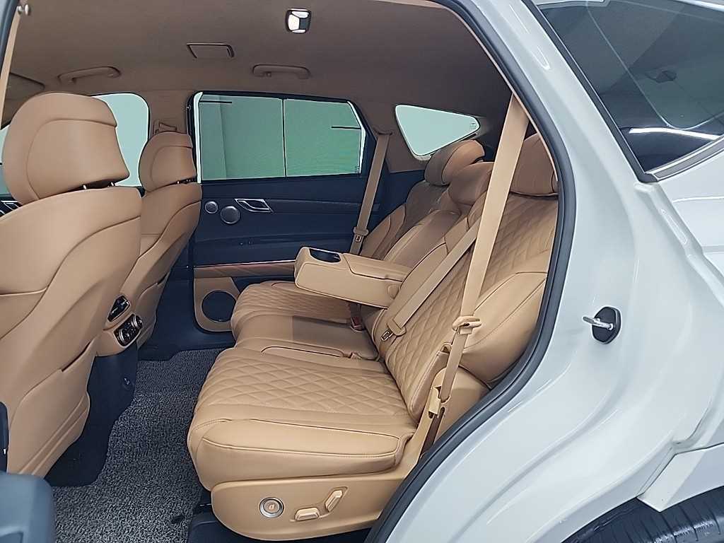 Genesis GV80 - Vista 12