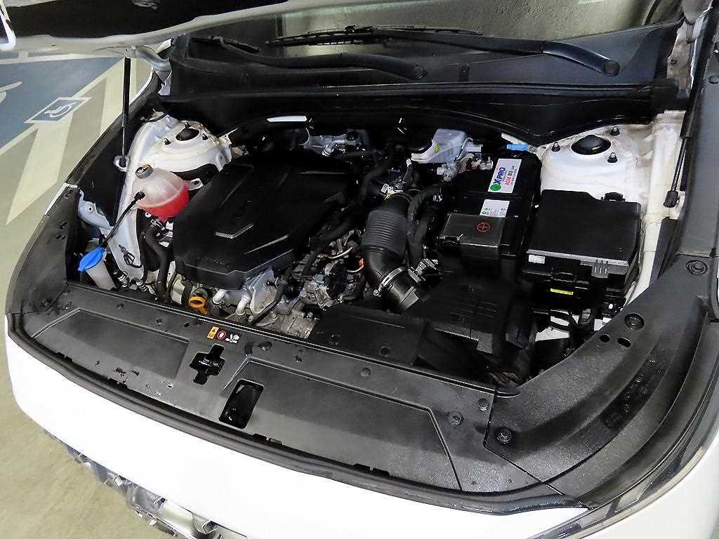 HYUNDAI Santa Fe 2021 Blanco - Importación desde Corea - HF Imports Iquique - Foto 19