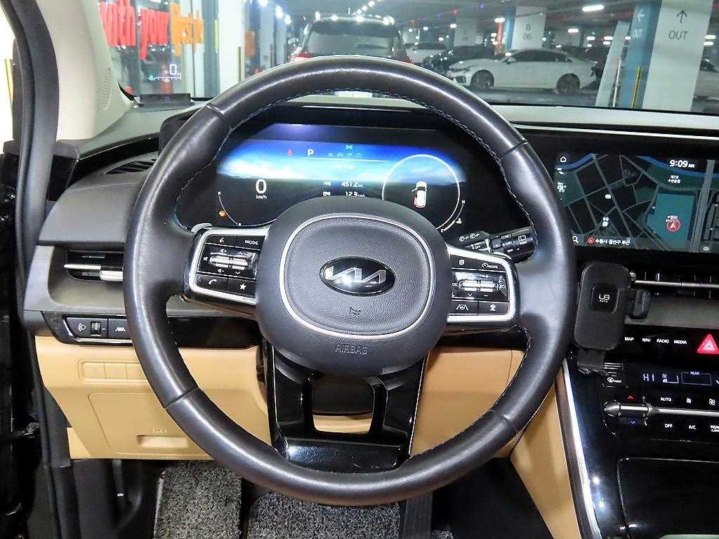 KIA Carnival - Vista 8