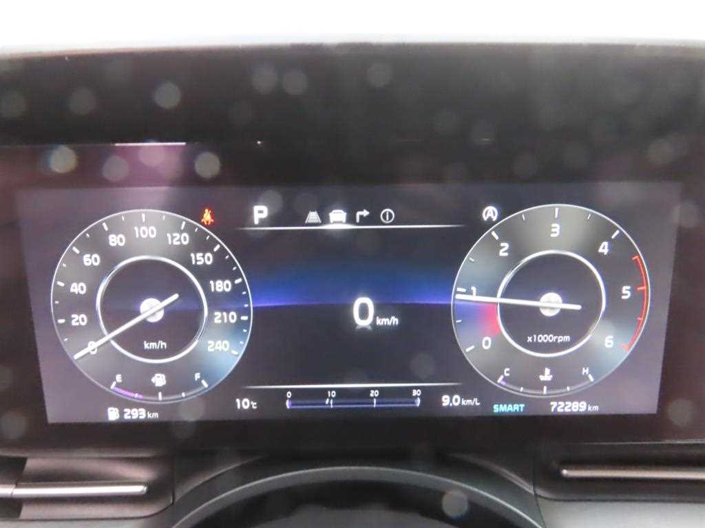 KIA Carnival - Vista 7