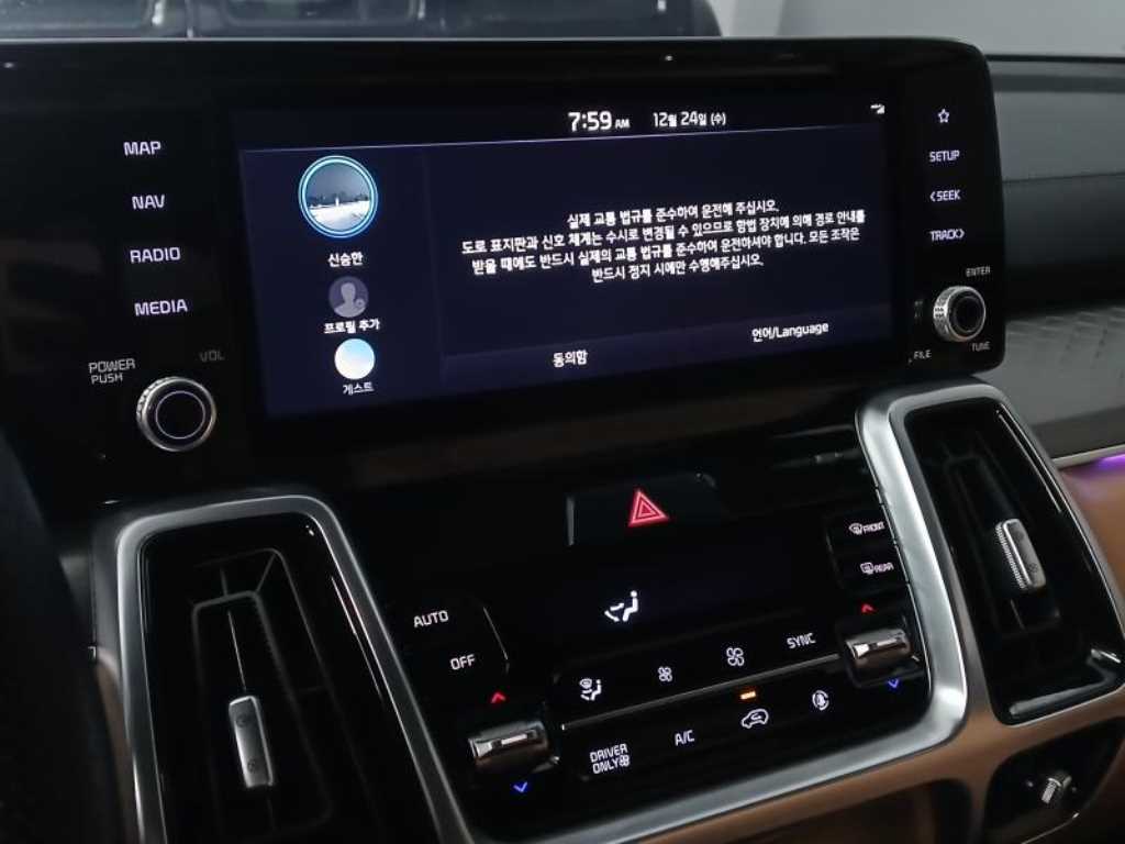 KIA Sorento - Vista 8