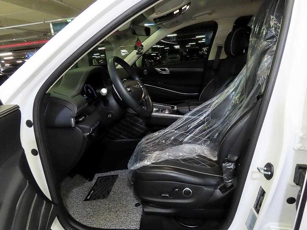 Genesis GV80 - Vista 6