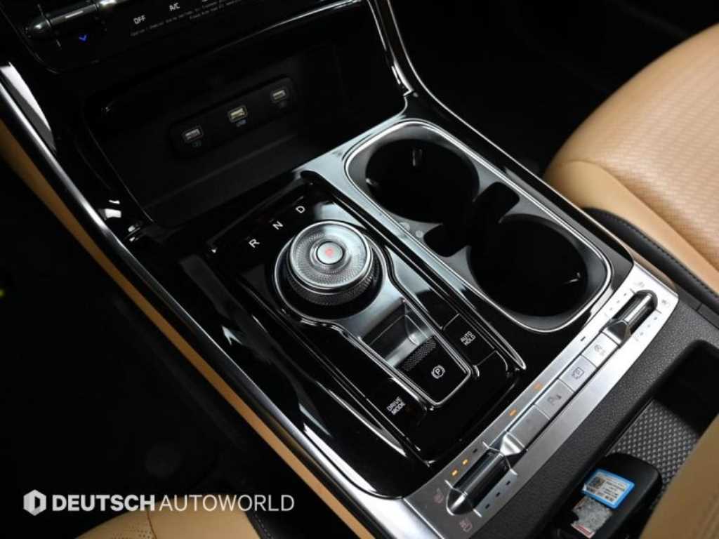 KIA Carnival - Vista 9